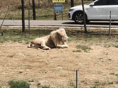 -秦皇岛野生动物园