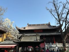 -灵谷景区