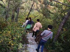 -静之湖湖畔餐厅