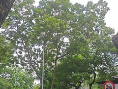 -圣约瑟夫大教堂