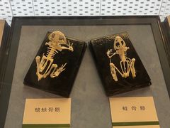 -浙江自然博物院(杭州馆)