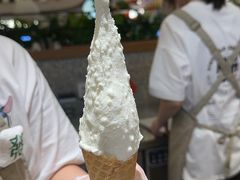 -野人先生Gelato(上海长宁龙之梦店)