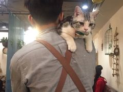 -共舞时光猫咖·狗咖(新街口店)