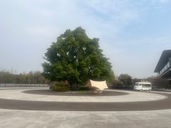 -云里小坐·海泉湾·团建·宴席·下午茶(金堂海泉湾店)