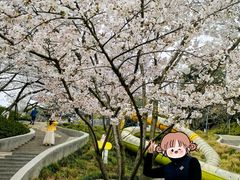 -杭州少年儿童公园