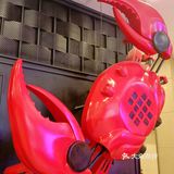 五折肉蟹煲🦀！快去打卡‼️