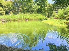 -成都市活水公园