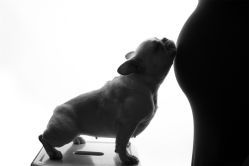 -专注孕妇照亲子照·纪田摄影