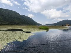 -腾冲北海湿地