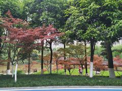 -龙头寺公园