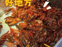 -圣罗巴海鲜烤肉自助(佳兆业店)