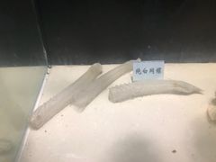 -广东惠东海龟国家级自然保护区