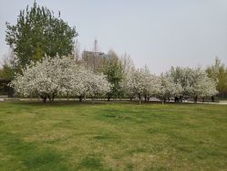 -大望京儿童游乐场