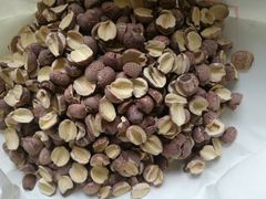 -同仁堂(北苑双营路店)