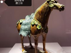 -陕西历史博物馆