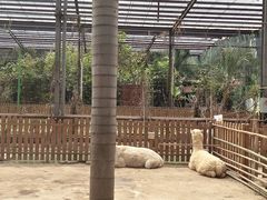 -呀路古热带植物园
