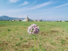 -敕勒川草原文化旅游区