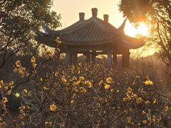 -无锡梅园公园