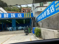 -广东惠东海龟国家级自然保护区