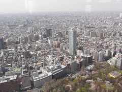 -东京都厅舍