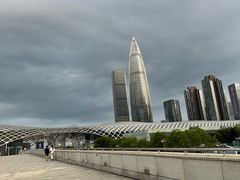 -深圳湾公园(南山区)