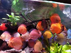 -上海海洋水族馆