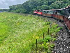 -济州森林小火车生态公园
