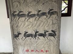 -上海醉白池公园