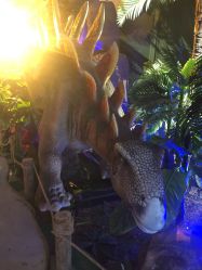 -恐龙探索乐园(磁器口店)