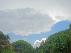 -厨神老街兔·淳朴人家店(盐帮菜风味名店)