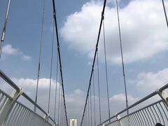 -田园寨农园观光园