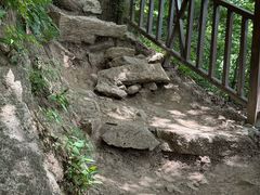 -王顺山国家森林公园
