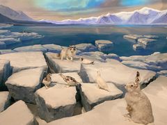 -陕西自然博物馆