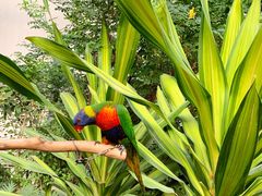 -南宫五洲植物乐园