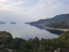 -逸廊大堂吧-下午茶·简餐-千岛湖自由洲际殿