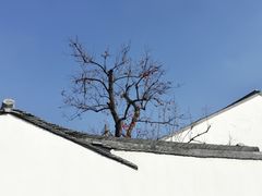 -北寺塔