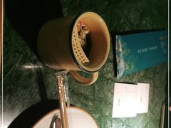 -姐夫的小菜(新中关购物中心店)
