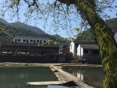 -鹿亭中村