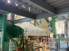 -绿壁虎攀岩基地(Tcar店)