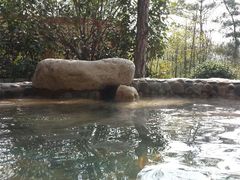 -天目湖涵田半山温泉水乐园