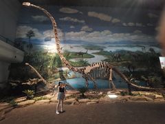 -自贡恐龙博物馆