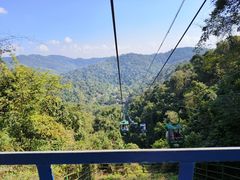 -野象谷景区