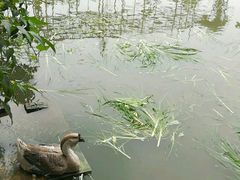 -润记农家菜