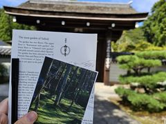 -西芳寺(苔寺)