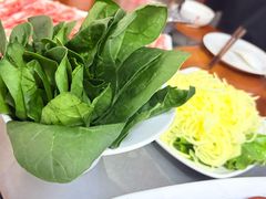 -重庆小天鹅(英雄山路店)