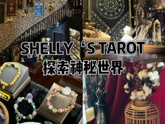 -雪灵魔法世界SHELLY’S TAROT(大良桂畔里店)