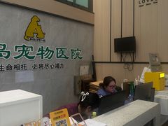 -半岛宠物医院24小时(科华中路店)