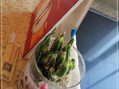 -大鸭梨(天通西苑店)