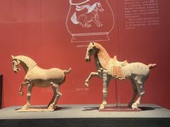 -陕西历史博物馆