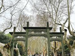 -杭州黄龙洞